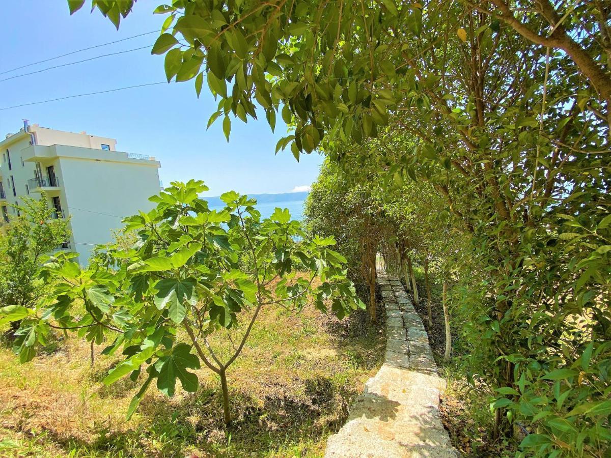 Ramo'S Cozy Beachside Haven With Panoramic Views - 2Nd Vlorë 外观 照片