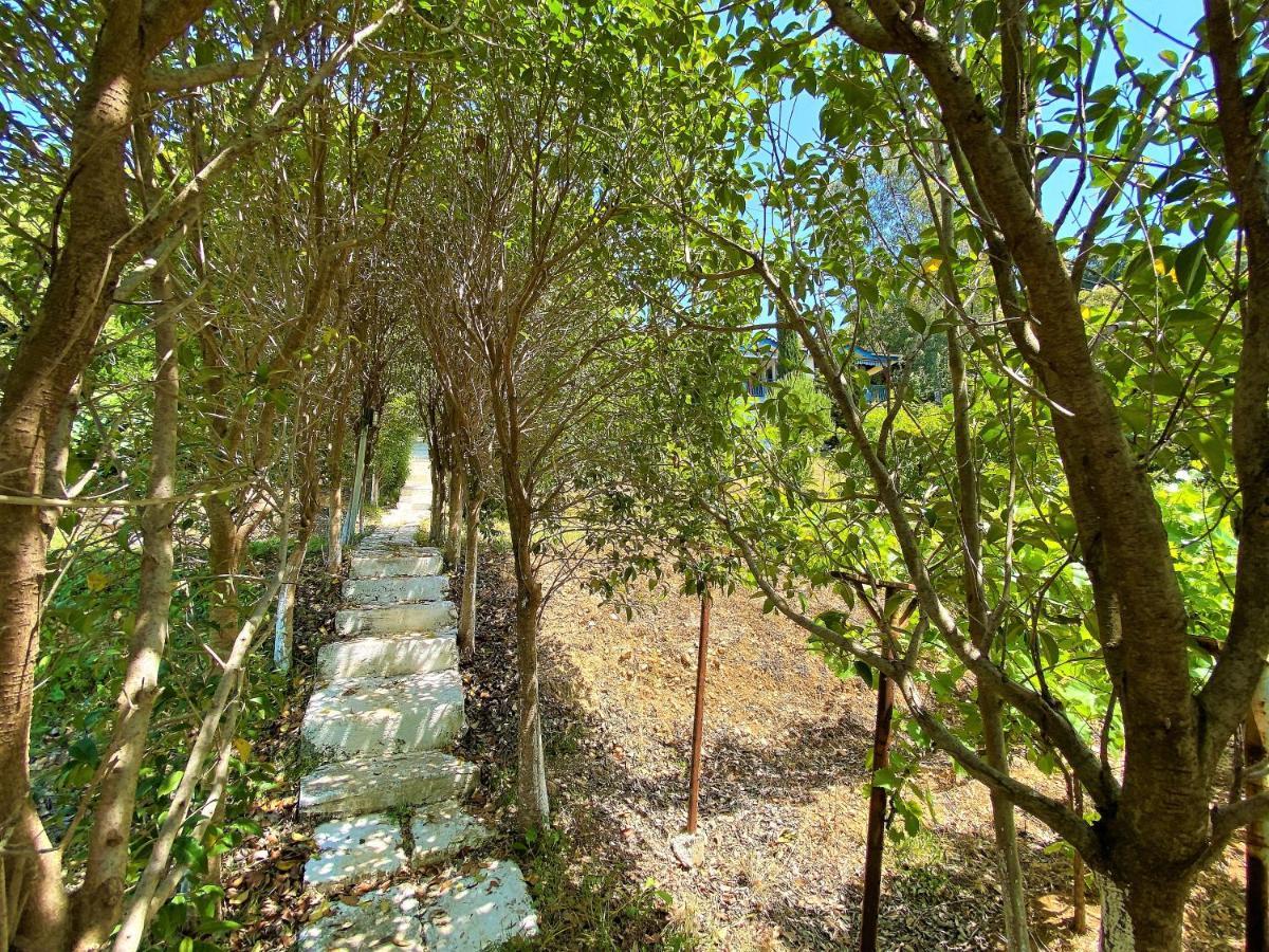 Ramo'S Cozy Beachside Haven With Panoramic Views - 2Nd Vlorë 外观 照片
